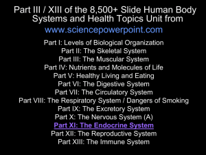 The Endocrine System - Science PowerPoints