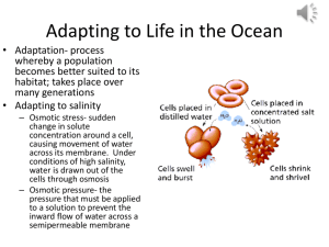 Adapting to Life in the Ocean