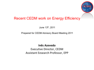 Inês Azevedo - Center for Climate and Energy Decision Making