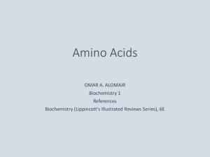Amino Acids Overview