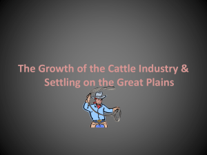 Growth of Cattle Industry and Settling the Great Plains