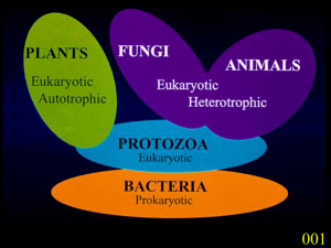 General Mycology [33 slides]