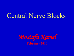 Mostafa Kamel Central N Blocks