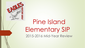 Pine Island Elementary SIP - Pine Island Elementary School