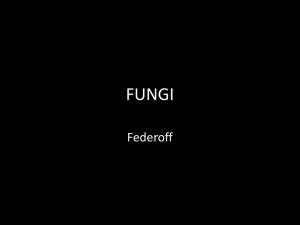 Fungus PowerPoint