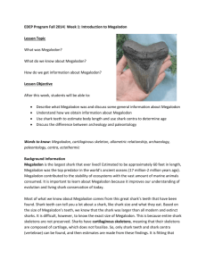 EDEP Program Fall 2014| Week 1: Introduction to Megalodon
