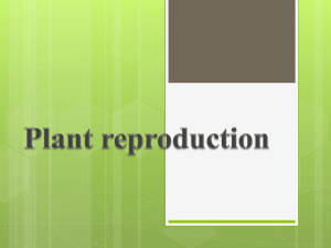 Plant reproduction Plants can reproduce in 2 ways