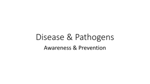 Disease & Pathogens