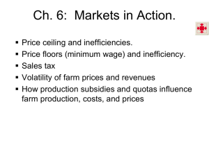 Ch 6: Markets in Action.