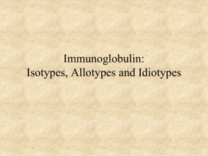 Immunoglobulin Isotypes - Microbiology and Immunology Online