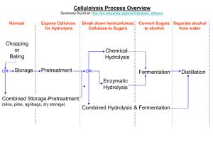 Cellulolysis Process Overview
