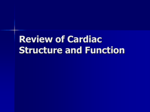 Review of Cardiac Structure and Function
