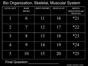 Biological Organization, Skeletal, Muscular
