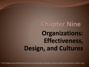 Organizations: Effectiveness, Design, and Cultures