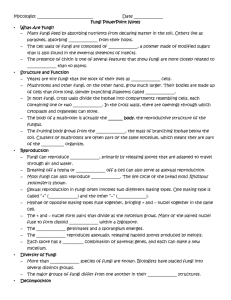 Fungus PowerPoint Notes