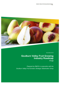 Goulburn Valley Fruit Growing Industry Roadmap