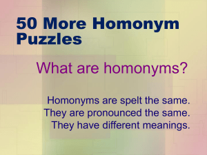 Homonyms - Primary Resources
