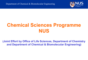 The NUS Chemical Sciences Programme