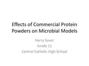 Effects of Commercial Protein Powders on Microbial Life