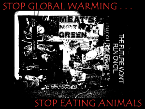 Stop Global Warming Stop Eating Animals