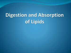 Digestion and Absorption of Lipids
