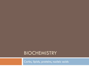 Biochemistry Powerpoint - McKinney ISD Staff Sites