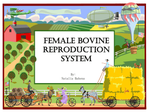 Farm Animal Reproduction Systems