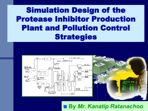 1. Conceptual Design of the Plant