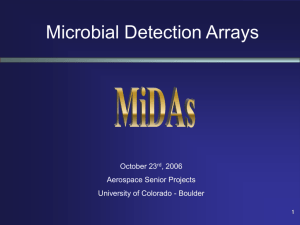 Microbial Detection Arrays - University of Colorado at Boulder