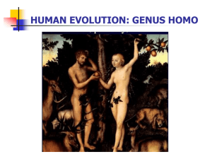 Lecture: Human Evolution: Genus Homo