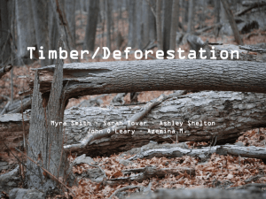 Timber/Deforestation Myra Smith – Sarah Tovar – Ashley Shelton