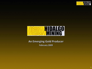 13 - Hidalgo Mining International Inc.