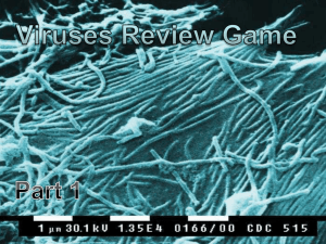 Viruses PowerPoint Review Game Preview