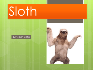 Sloth - World is your oyster