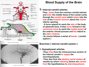 18. Blood supply of brain