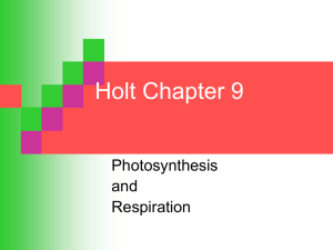 Holt Chapter 9