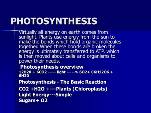 photosynthesis - UniMAP Portal