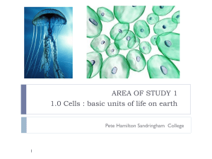 1.0 Cells -basic units of life on earth - SandyBiology1-2