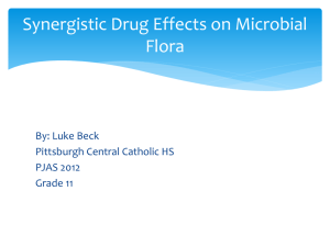 Beck drug effects on flora PJAS 2012