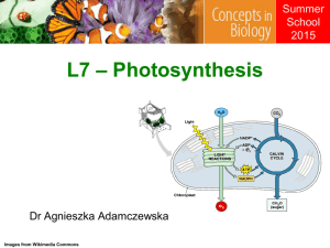 L7_C_Photosynth