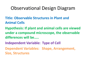 Observational Design Diagram