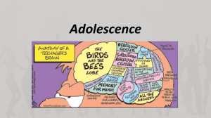 Powerpoint: Adolescence Ref MA