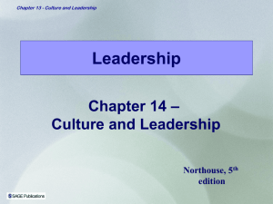 Culture and Leadership