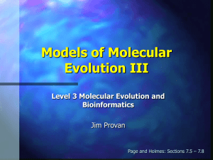 Models of molecular evolution III
