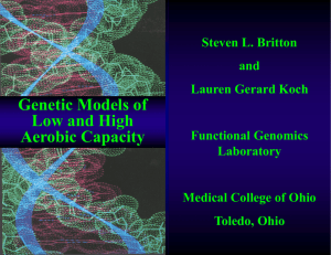 Genetic Models of Low and High Aerobic Capacity