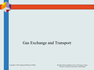 Chapter13 Gas Exchange and Transport