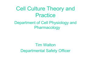 Cell Culture Theory and Practice