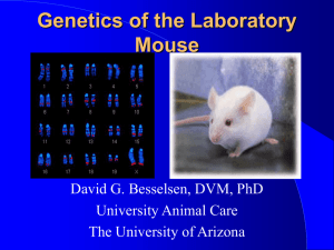 Biology of Laboratory Rodents