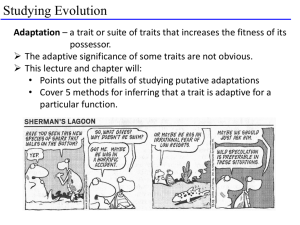 Studying Adaptation: Approaches and Pitfalls