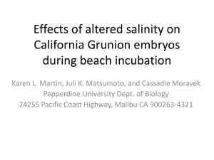 Martin: Effects of Altered Salinity on California Grunion Embryos